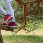 The pink shoes and jeans of a person climbing a tree are visible