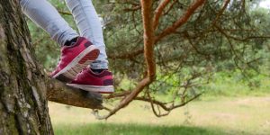 The pink shoes and jeans of a person climbing a tree are visible