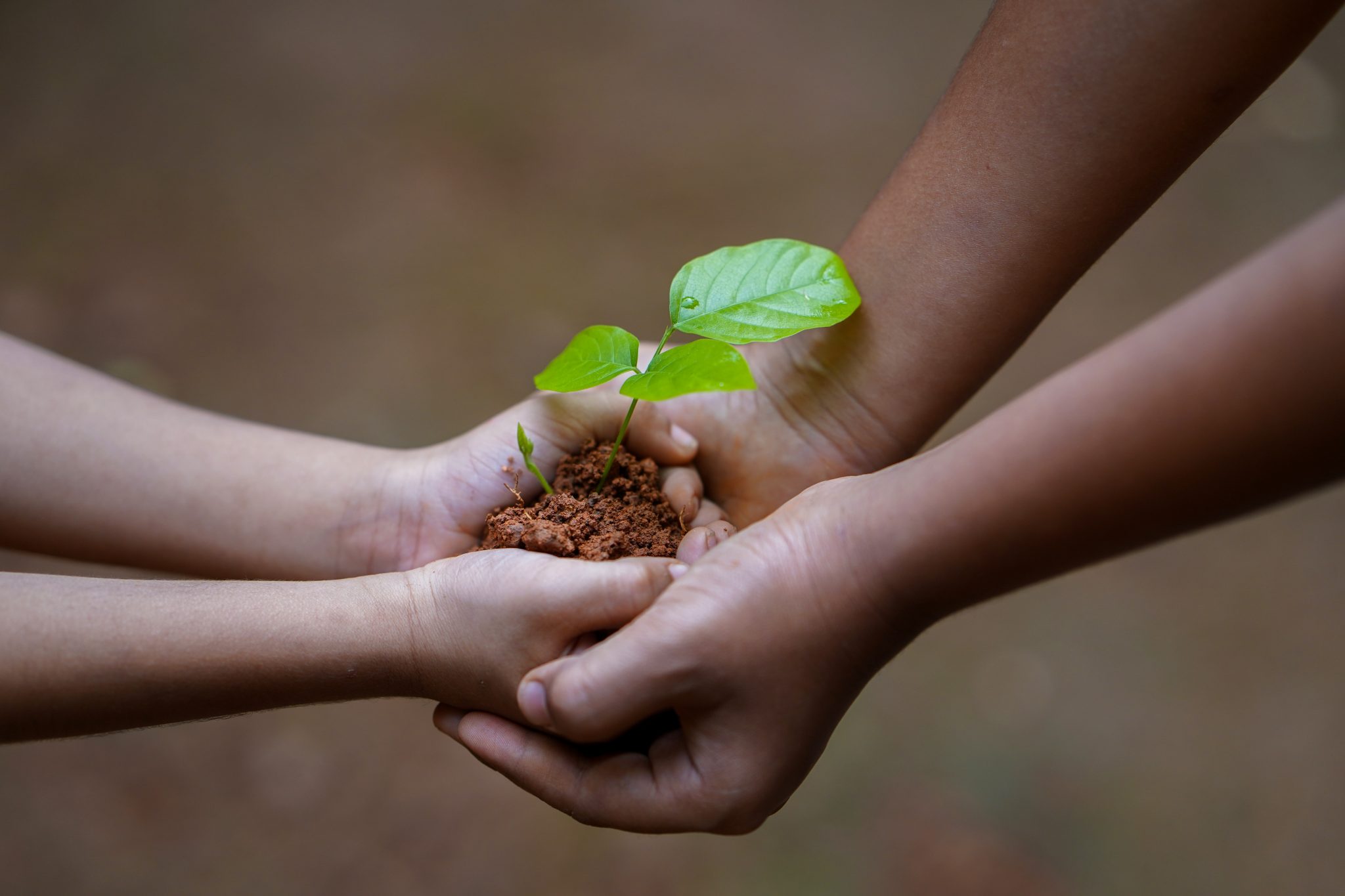 Nature Vs Nurture Is One More Important To Language Development 